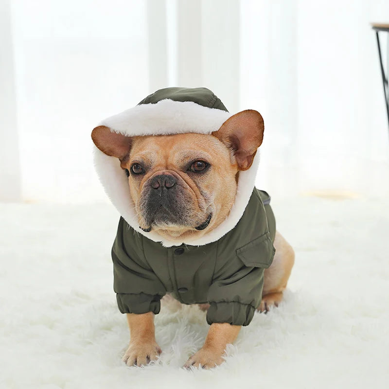 Winter Warmth: Stylish Pet Dog Jacket Coat