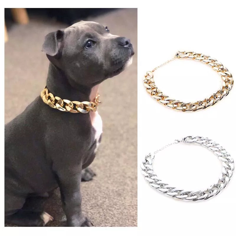 Golden Glamour: Plastic Plated Collars for Dogs, Fashion Jewelry for French Bulldogs and Pitbulls
