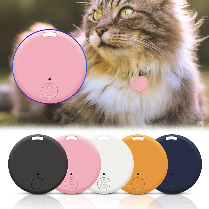 Pet Track Pro: Navigating Adventures with Precision