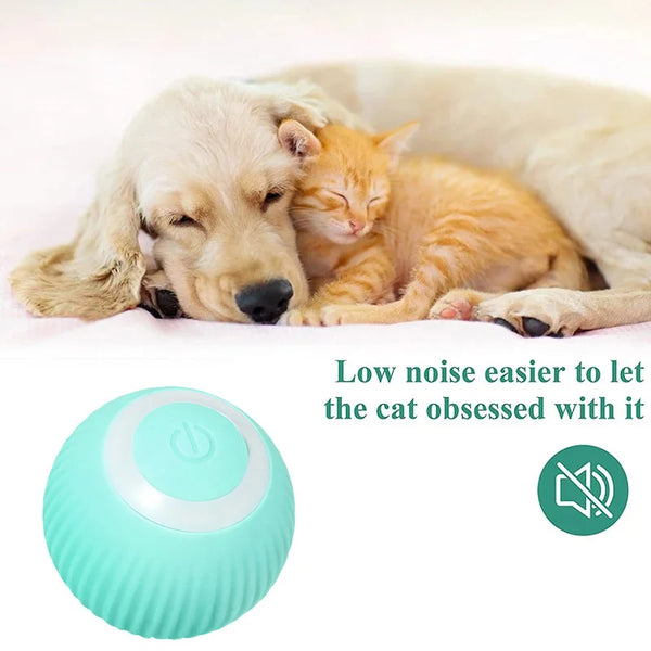 Whisker Wonderland: Interactive Electric Cat Toy for Playful Paws and Curious Kittens