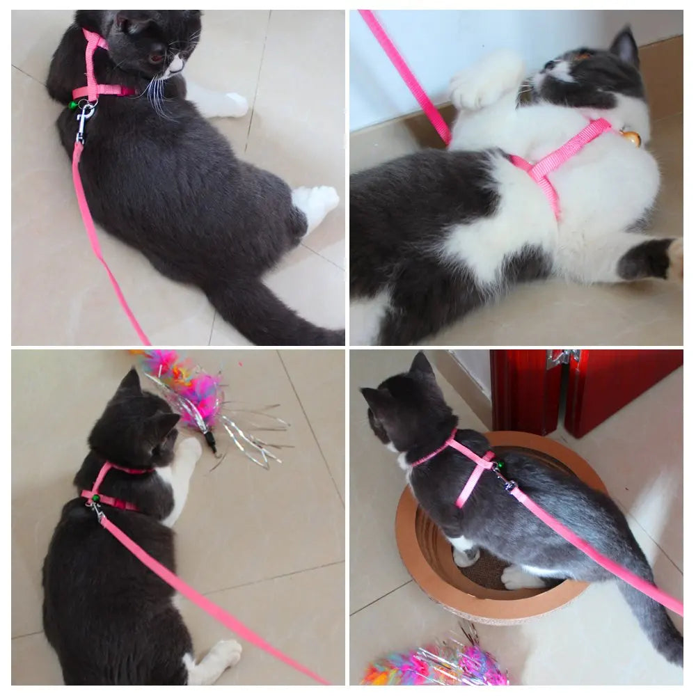 Bell-Adorned Elegance: Adjustable Pet Cat Collar Harness with Leash