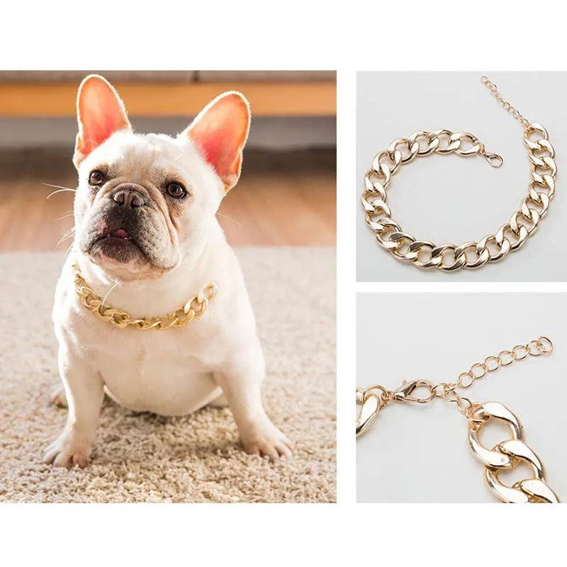 Golden Glamour: Plastic Plated Collars for Dogs, Fashion Jewelry for French Bulldogs and Pitbulls