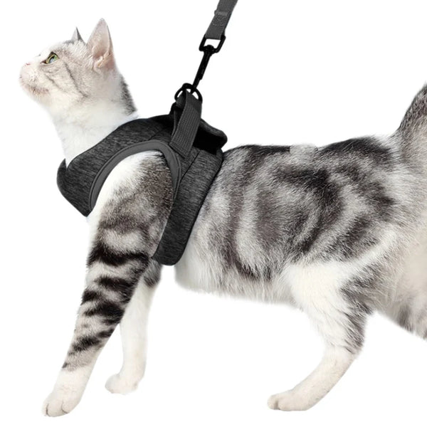 Escape-Proof Adventure: Adjustable Cat Harness for Safe and Breathable Walks