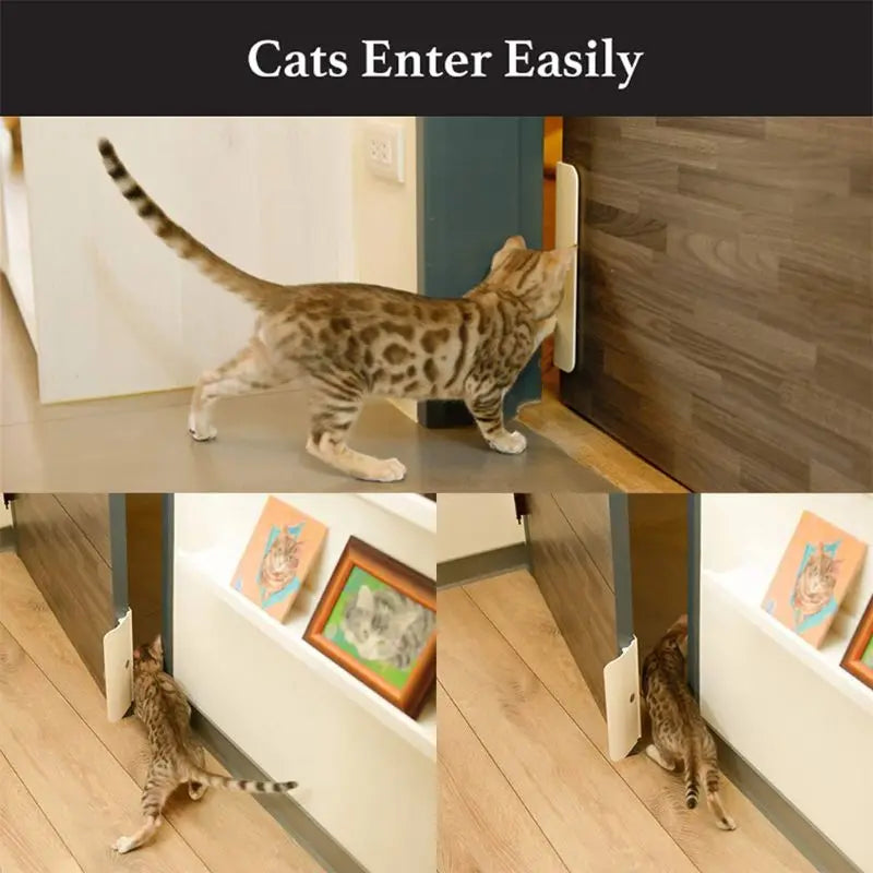 EasyAccess Pet Door Opener: Controllable Entry Training Tool