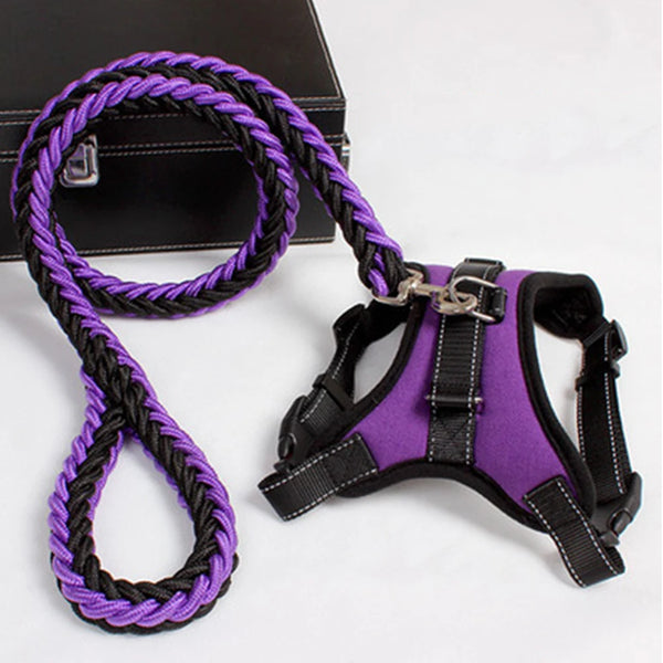 Solid Style: Adjustable Dog Harness Vest with Leash Set