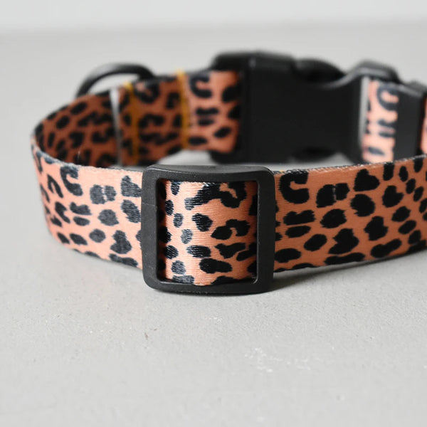 Leopard Luxe: Designer Dog Collar and Leash Set in Samoyed Style for Pugs and Beagles