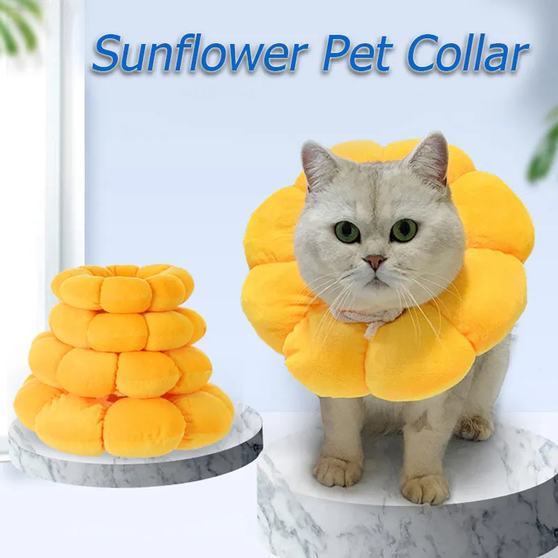 Sunflower Healing: Anti-Bite Cat Recovery Collar