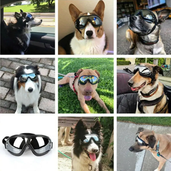 AquaGuard Canine Shades: Pet Eyewear for Medium to Large Dogs