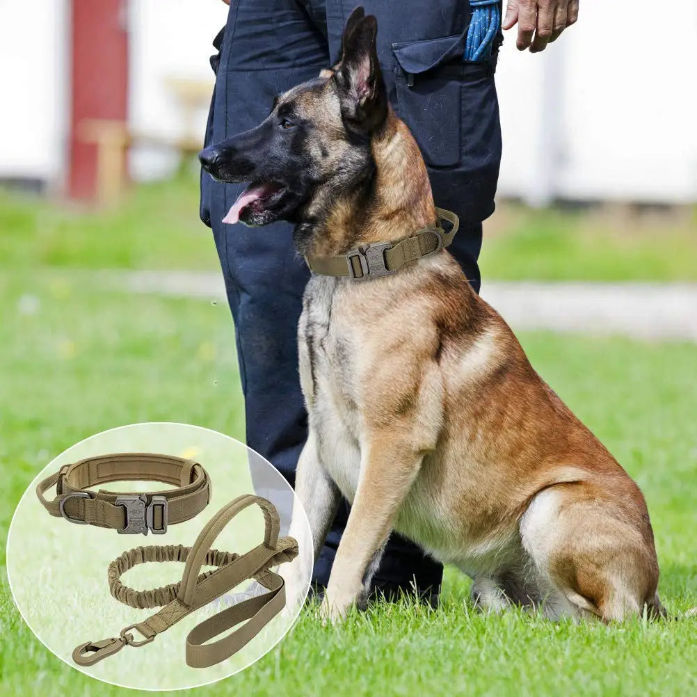 Tactical Control: Military Tactical Dog Collar and Leash for Medium to Large Dogs, Perfect for Training