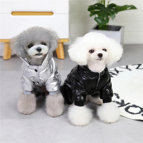 CozyCanine WeatherShield: Winter-Ready Pup Wardrobe
