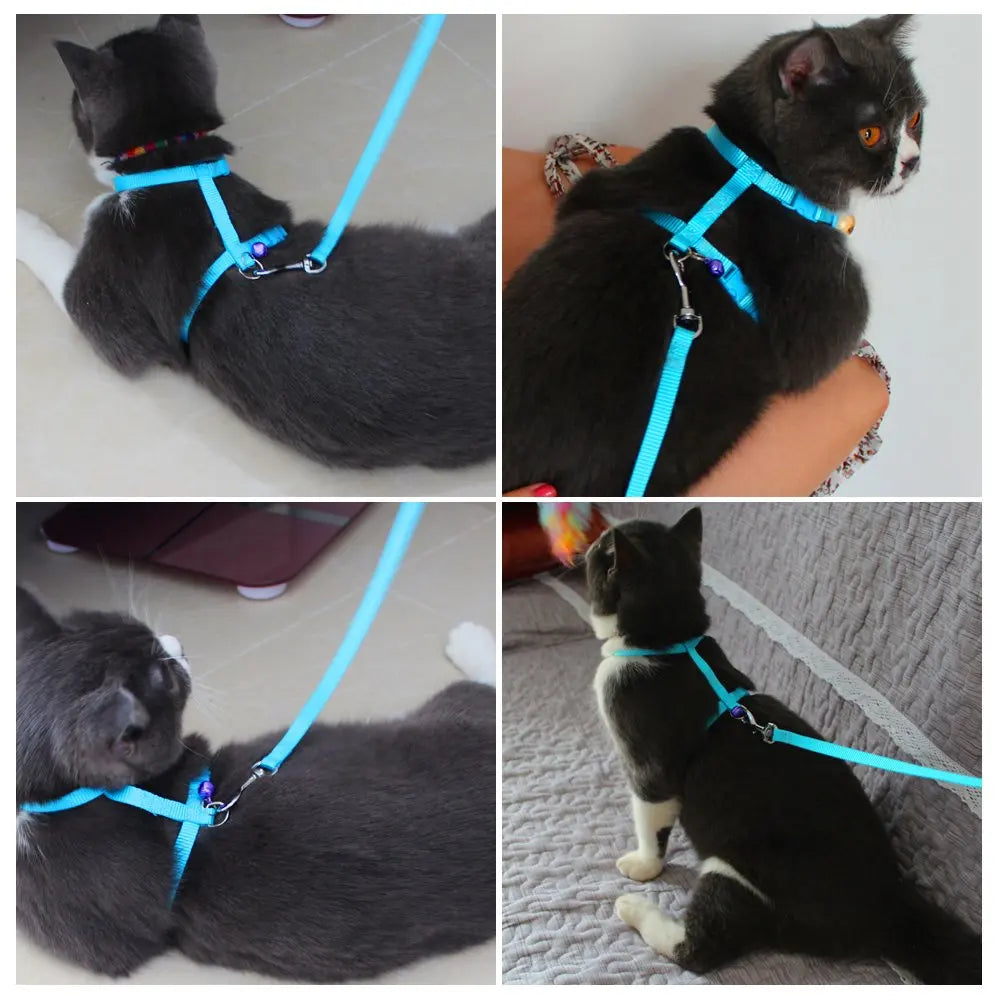 Bell-Adorned Elegance: Adjustable Pet Cat Collar Harness with Leash