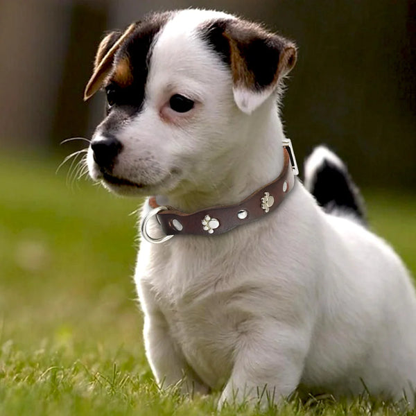 Stylish Leather Elegance: Soft Genuine Leather Pet Dog Collars