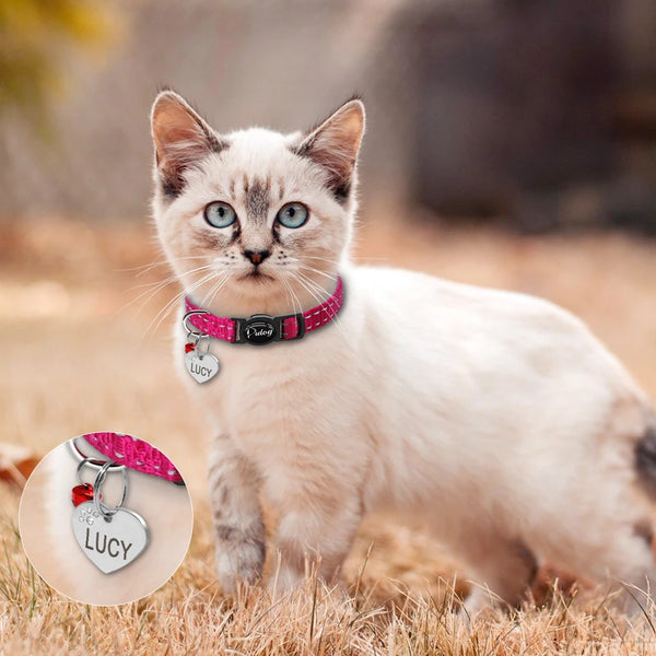 GlimmeringPurr Elegance: Didog Reflective Kitten Cat Collar