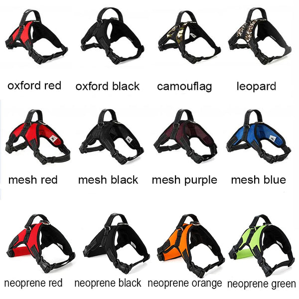 SafeStrides Reflective Control Harness: Premium Leash-Ready Comfort for Paws Big and Small