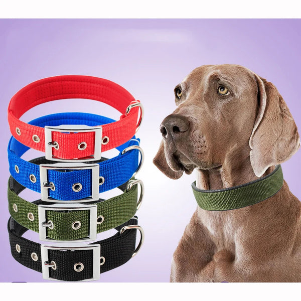 SolidPaws Nylon Collar: For Dogs of All Sizes and Breeds