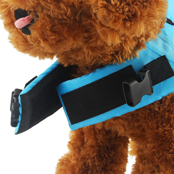 SharkSplash Safeguard: Summer Dog Life Vest
