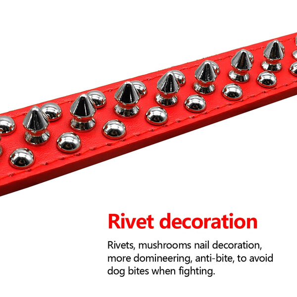 PunkPaws Stylish SpikeLine: Leather Studded Collar for Small to Medium Dogs