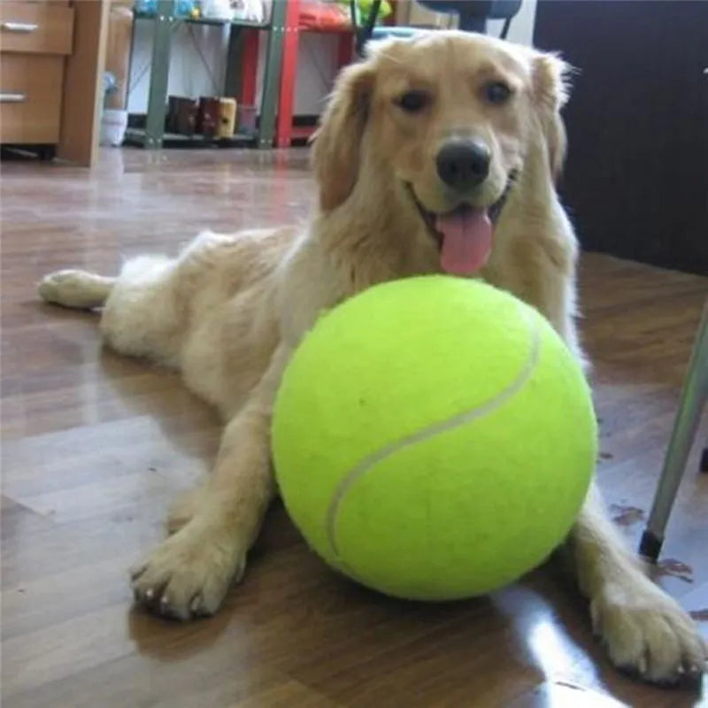 Giant Tennis Ball for Endless Fetch: 24CM Inflatable Tennis Ball for Dogs