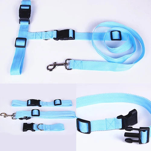 Hands-Free Adventure: Adjustable Pet Leash with Waist Belt and Chest Strap