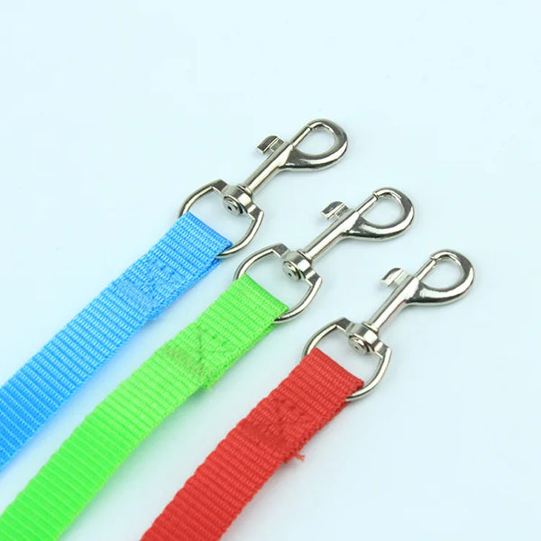 PawPlay Nylon Dog Leash: Summer-Ready, Strong Leads Rope