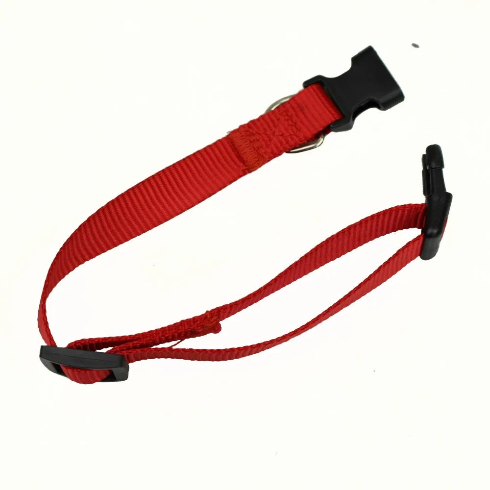 Durable Adventures: Nylon Webbing Dog Collar with Heavy Duty Clip Buckle for Small to Medium Dogs in Vibrant Colors