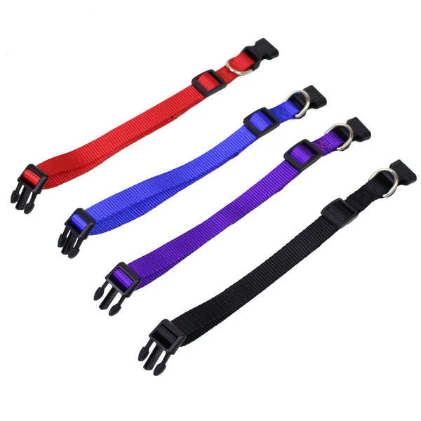Durable Adventures: Nylon Webbing Dog Collar with Heavy Duty Clip Buckle for Small to Medium Dogs in Vibrant Colors