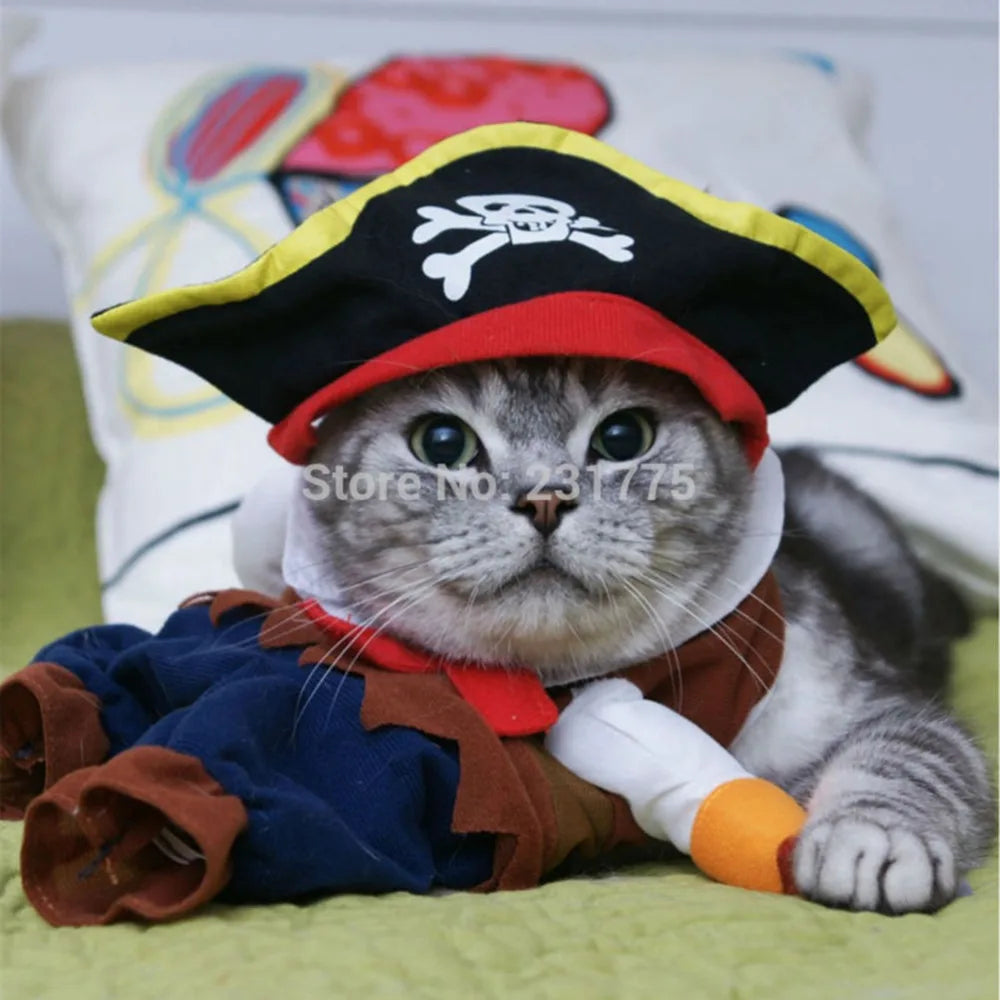 Paw-ty Swagger: Corsair Halloween Costume for Cats