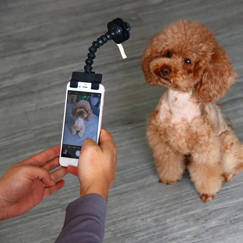 PawPic ProCapture: Pet Selfie Stick for Purr-fect Pics and Playful Training