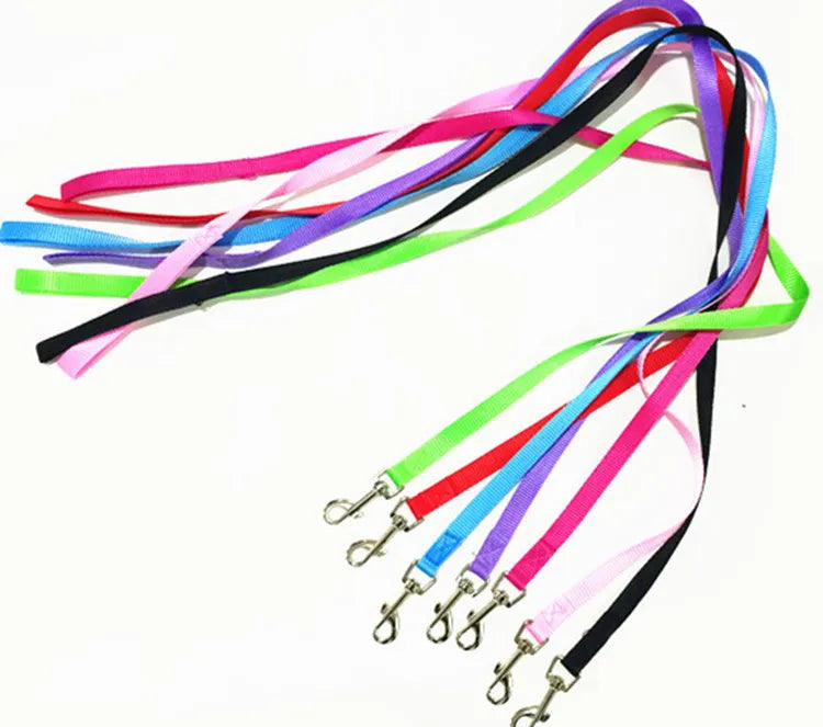 PawPlay Nylon Dog Leash: Summer-Ready, Strong Leads Rope