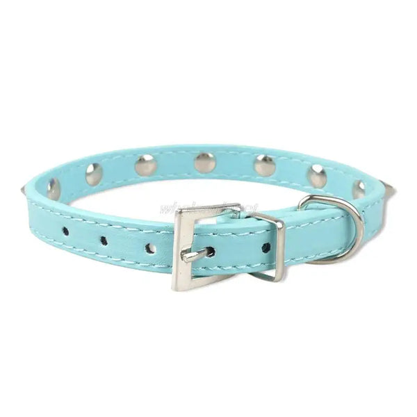 Pint-sized Glam: Cute Studded Dog Collar for Small Breeds