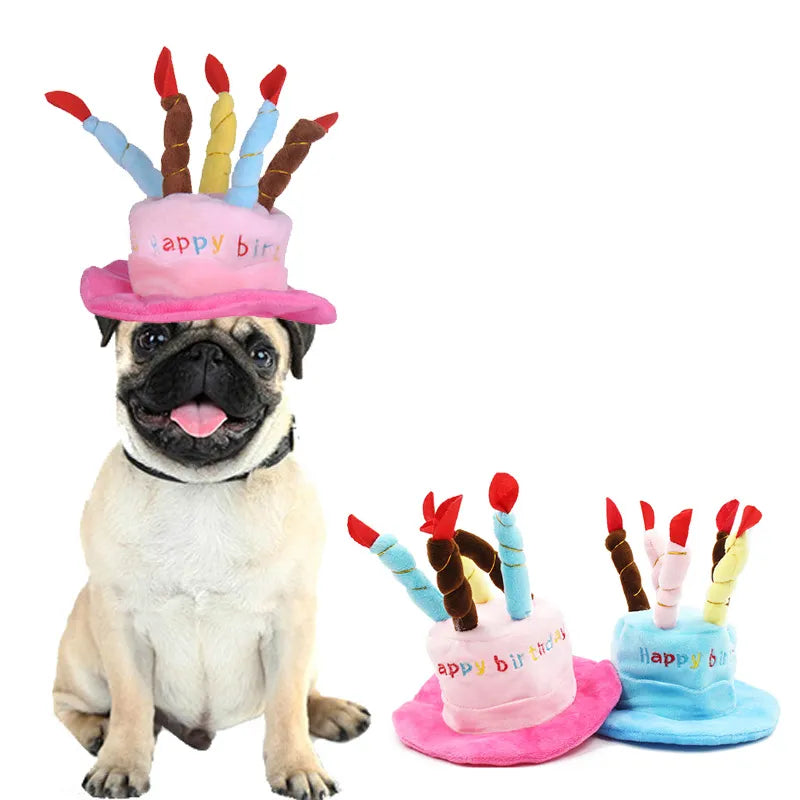 Pawsome Party Pinnacles: WhimsiCaps for Furry Celebrations