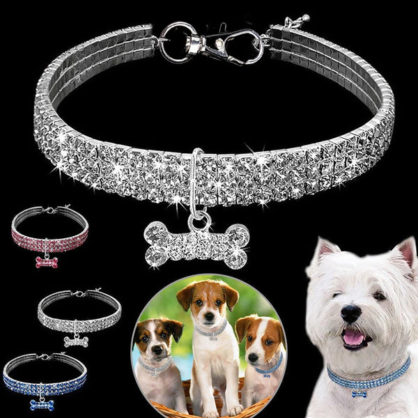 DazzlePaws Elegance: Exquisite Wedding Diamond Collars for Small Dogs