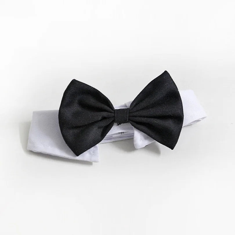 DapperPaws TuxTie: Handsome Formal Bow Tie for Dogs