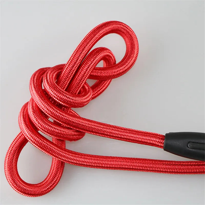 Sturdy Training Essential: Adjustable Nylon Dog Leash for Small Breeds