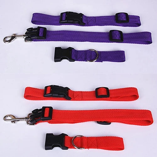 Hands-Free Adventure: Adjustable Pet Leash with Waist Belt and Chest Strap