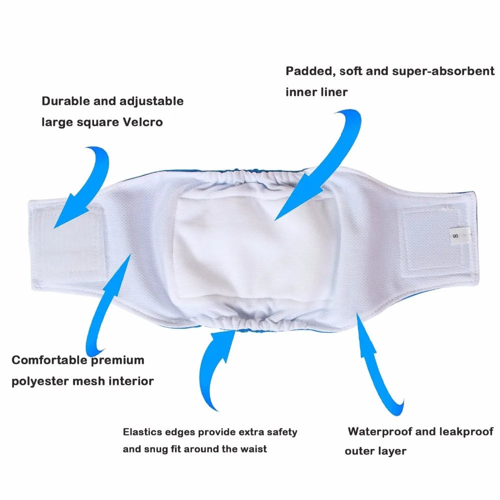 EverDry PetWraps: Reusable Dog Diapers