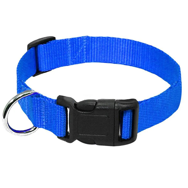 Durable Adventures: Nylon Webbing Dog Collar with Heavy Duty Clip Buckle for Small to Medium Dogs in Vibrant Colors