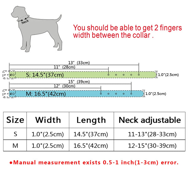 Blinged Beauty: Didog Rhinestone Dog Collar for Small to Medium Dogs