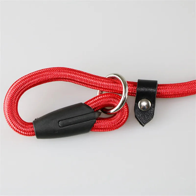 Sturdy Training Essential: Adjustable Nylon Dog Leash for Small Breeds