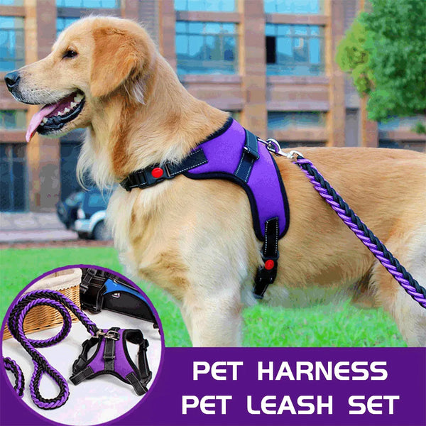 Solid Style: Adjustable Dog Harness Vest with Leash Set