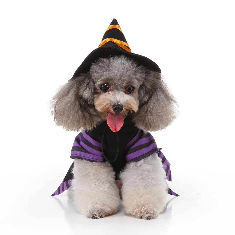 Howl-o-Ween Festive Funnies: Perfect Dress Up Outfit for Small Dogs