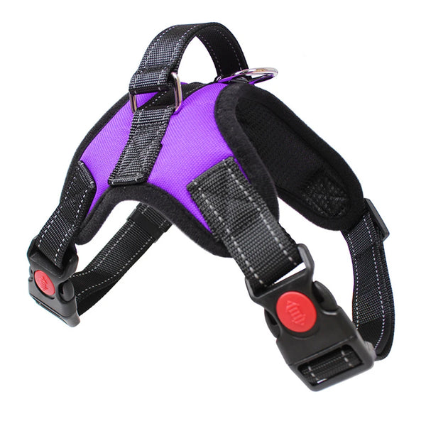 Solid Style: Adjustable Dog Harness Vest with Leash Set