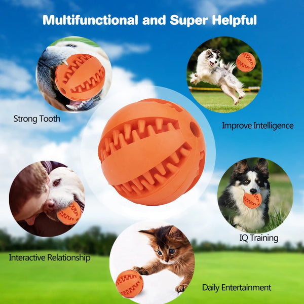 Durable Playtime: Extra-Tough Rubber Ball for Dog Chew Fun