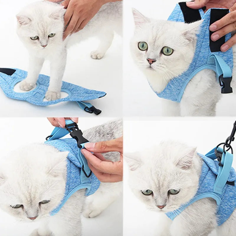 Escape-Proof Adventure: Adjustable Cat Harness for Safe and Breathable Walks