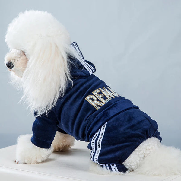 Stylish Comfort: Fashion Letter Pet Dog Hoodie for Four Seasons