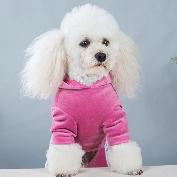Stylish Comfort: Fashion Letter Pet Dog Hoodie for Four Seasons