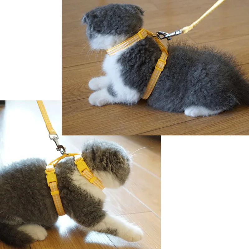 Stylish and Secure: Dot and Plaid Cat Pet Collar Harness with Adjustable Leash