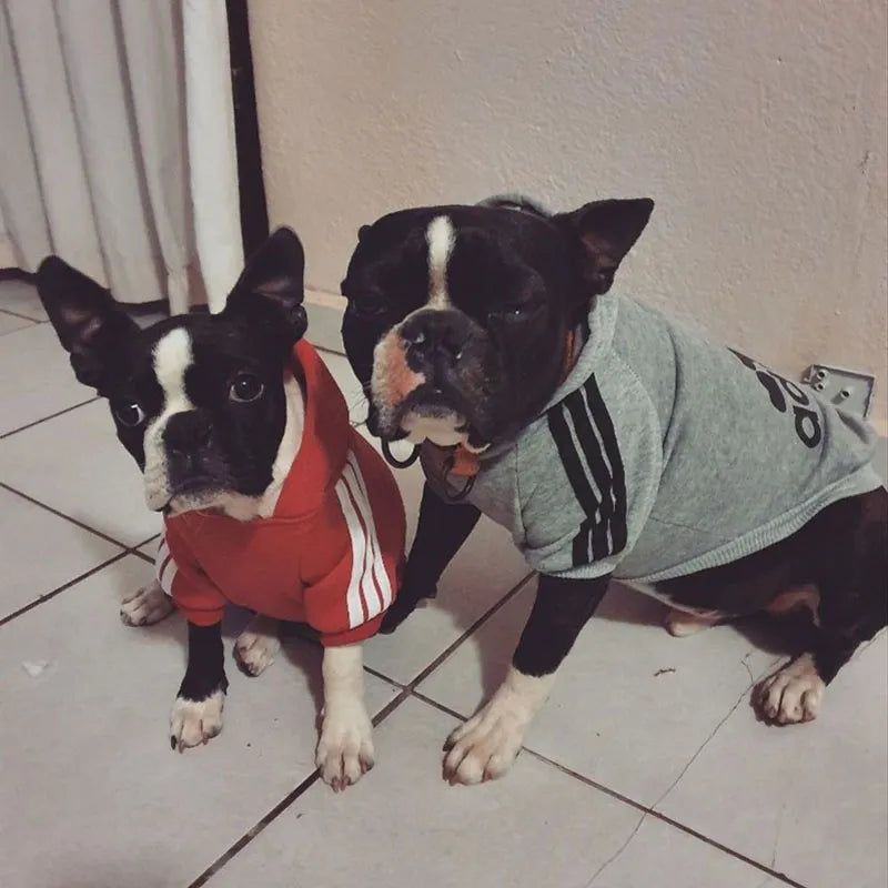 CosyCanine Adidog Athleisure: Winter Sport Hoodies for Dogs