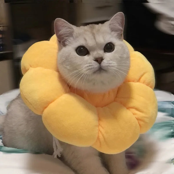 Sunflower Healing: Anti-Bite Cat Recovery Collar