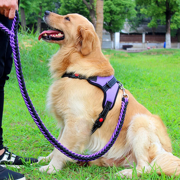 Solid Style: Adjustable Dog Harness Vest with Leash Set